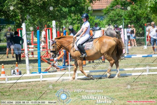Mintakép 20260801-3059