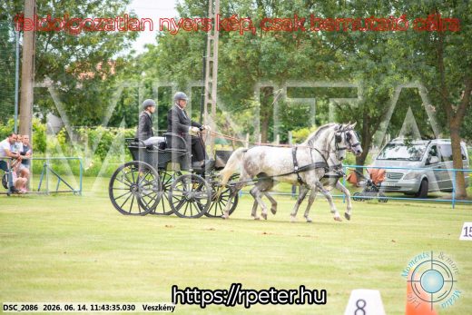 Mintakép 20260614-660