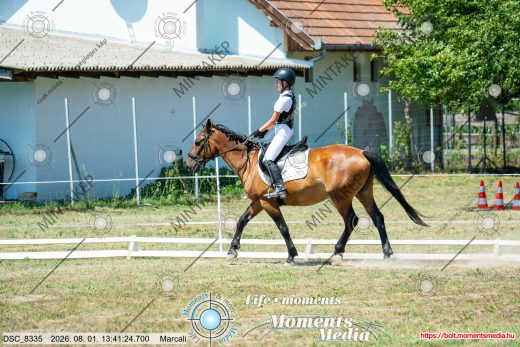 Mintakép 20260801-3082