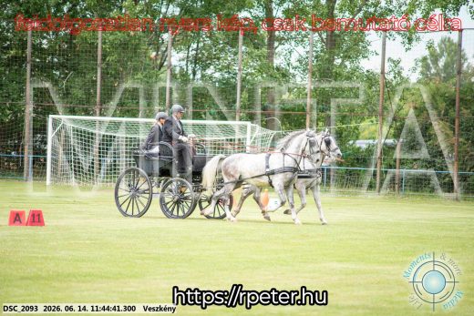 Mintakép 20260614-666