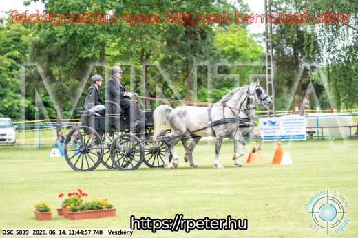 Mintakép 20260614-667
