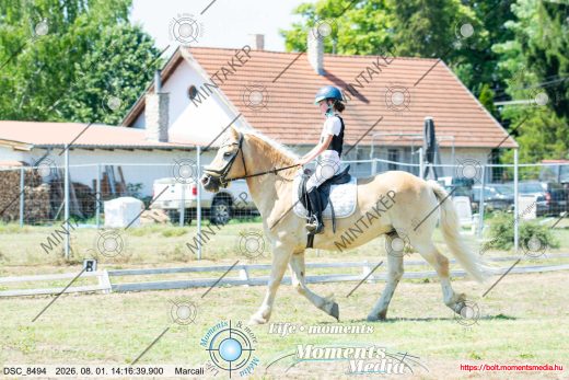 Mintakép 20260801-3257