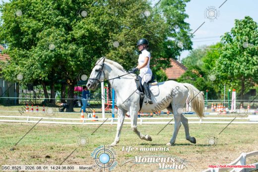 Mintakép 20260801-3275