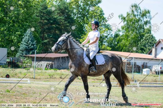 Mintakép 20260801-3321