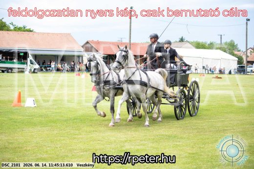 Mintakép 20260614-673