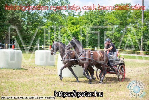 Mintakép 20260613-1442