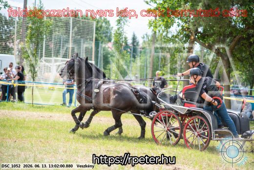 Mintakép 20260613-1449