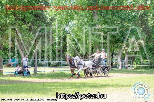 Mintakép 20260613-106