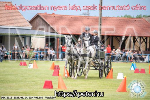 Mintakép 20260614-683