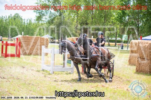 Mintakép 20260613-1453