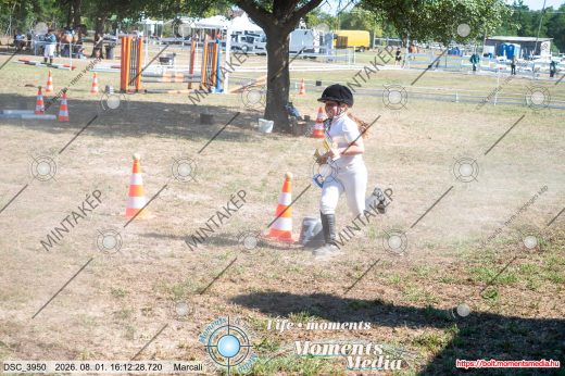 Mintakép 20260801-3567