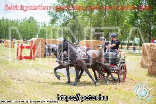 Mintakép 20260613-1454