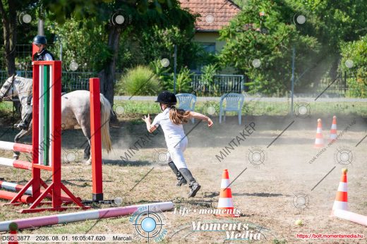 Mintakép 20260801-3621