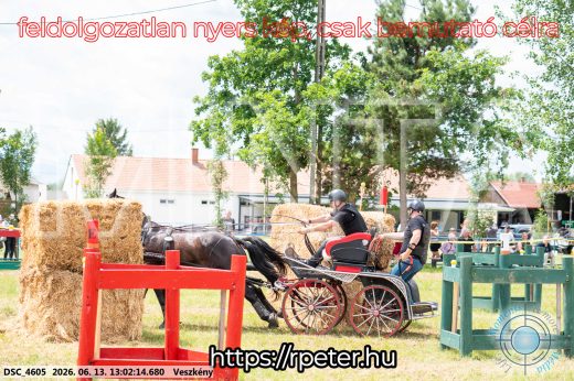 Mintakép 20260613-1458