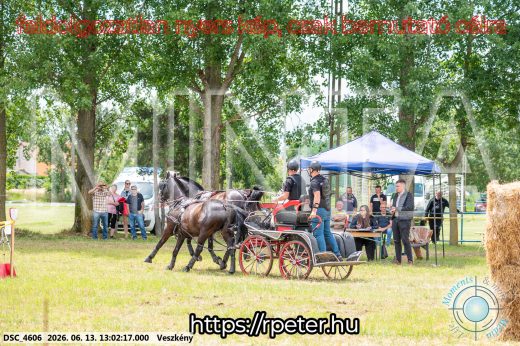 Mintakép 20260613-1459