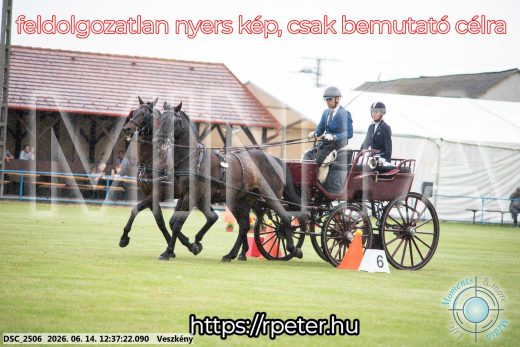 Mintakép 20260614-692