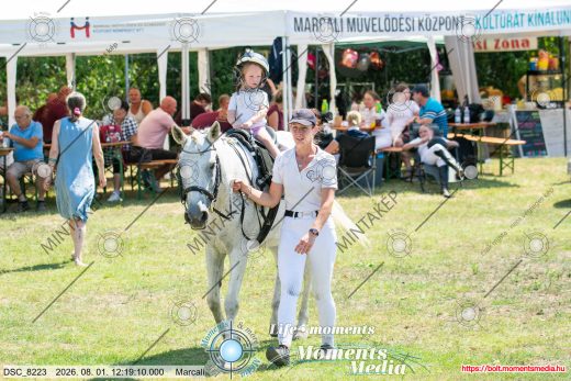 Mintakép 20260801-3702