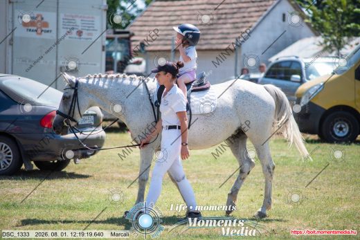 Mintakép 20260801-3704