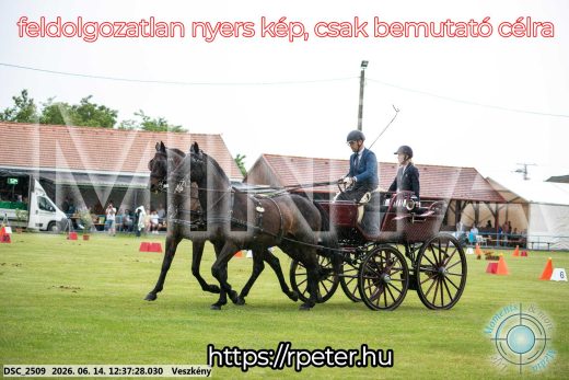 Mintakép 20260614-694