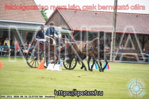 Mintakép 20260614-696
