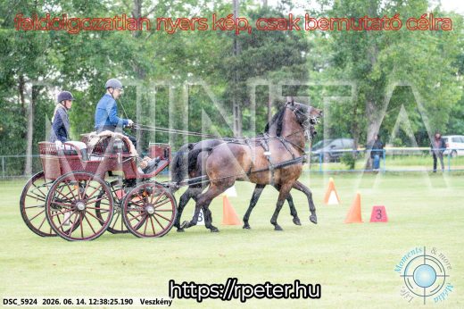 Mintakép 20260614-698