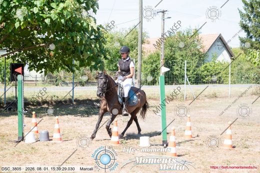 Mintakép 20260801-3796