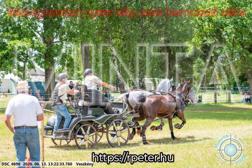 Mintakép 20260613-109