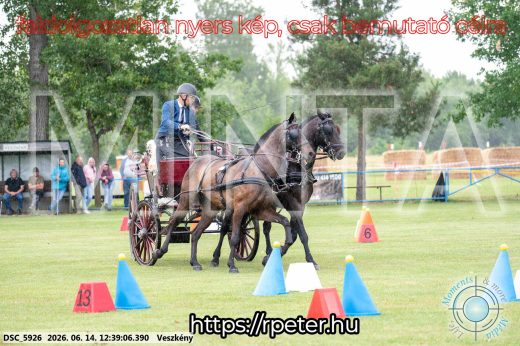 Mintakép 20260614-703
