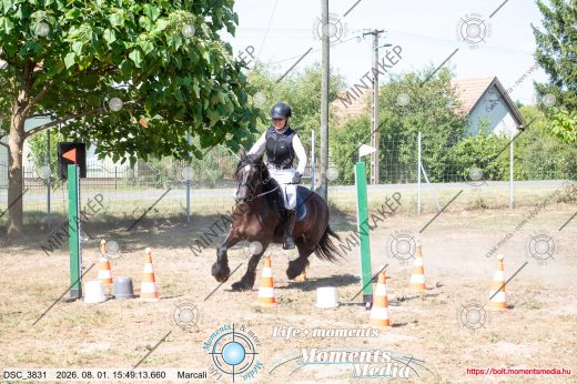 Mintakép 20260801-3812