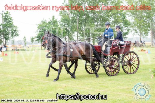 Mintakép 20260614-704