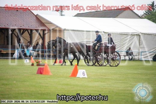 Mintakép 20260614-705