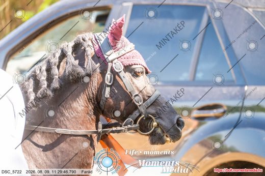 Mintakép 20260809-24