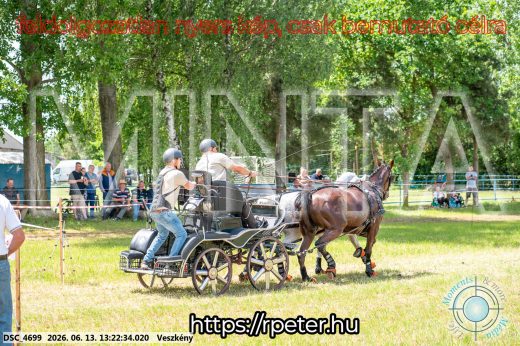 Mintakép 20260613-110