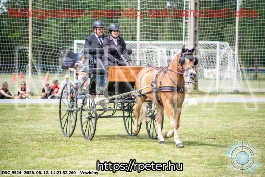 Mintakép 20260612-820