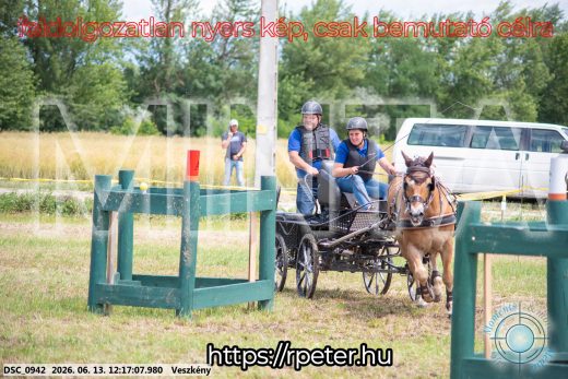 Mintakép 20260613-1461