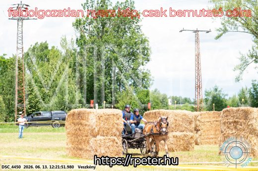 Mintakép 20260613-1474