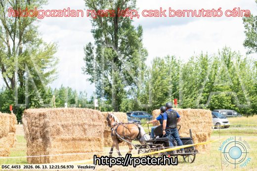 Mintakép 20260613-1477