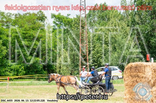 Mintakép 20260613-1478