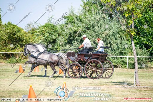 Mintakép 20260815-6