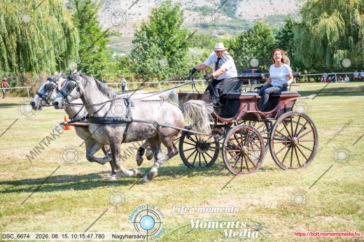 Mintakép 20260815-13