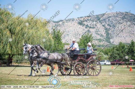 Mintakép 20260815-16