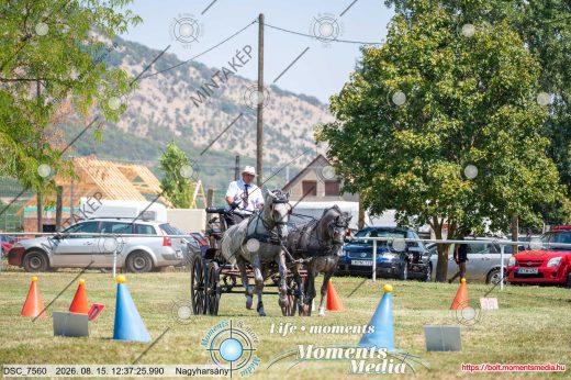 Mintakép 20260815-29