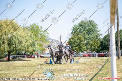 Mintakép 20260815-30