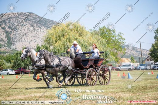 Mintakép 20260815-33