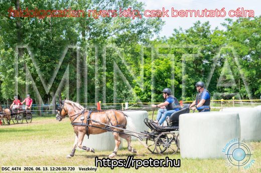 Mintakép 20260613-1483