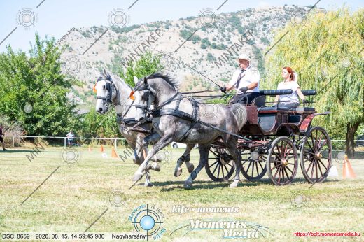 Mintakép 20260815-43