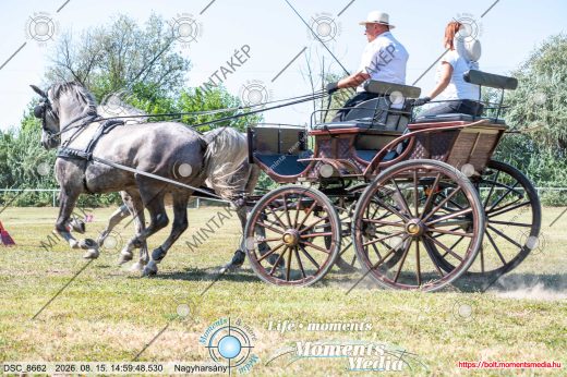 Mintakép 20260815-45