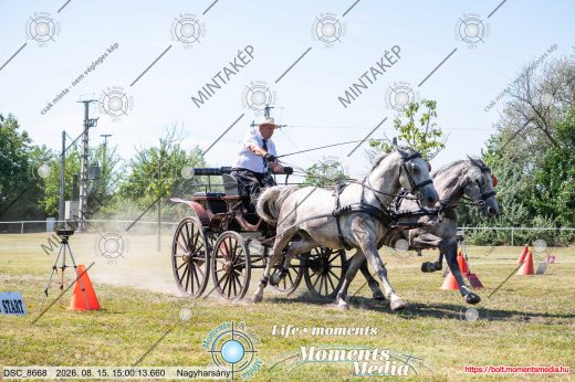 Mintakép 20260815-50