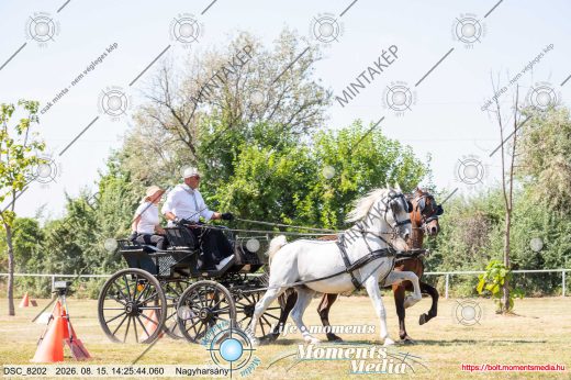 Mintakép 20260815-57