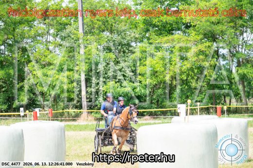 Mintakép 20260613-1485